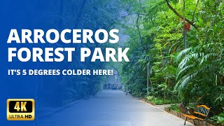 Arroceros Forest Park  Manilas Last Lung  Full Walk Tour [upl. by Fortunio946]