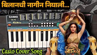 Bilanchi nagin nighali  Marathi song full song  gondi songs  cg song [upl. by Mohandis808]