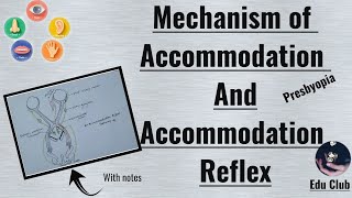 Accommodation Of Eye  Accommodation Reflex  Presbyopia  Special Senses Physiology [upl. by Gary]