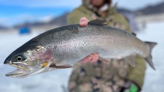 Eleven Mile Reservoir  Ice Fishing Colorado for TROUT [upl. by Wolbrom]