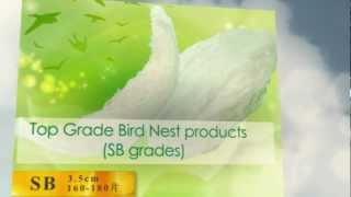 NPQ Bird Nest Supplier Malaysia  Nest World [upl. by Paulita]