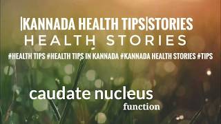 The Role of caudate nucleusfunctionresearch ಕಾಡೆಟ್ ನ್ಯೂಕ್ಲಿಯಸ್ ನ ಕಾರ್ಯ ಮತ್ತು ಸಂಶೋದನೆ [upl. by Olemrac]