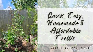 Quick and affordable trellis that I create for my climbing roses [upl. by Narual459]