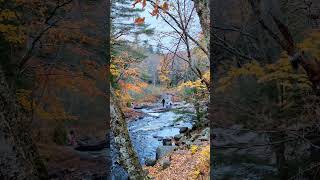 Stubbs Falls A Hidden Gem in Arrowhead ontario canada [upl. by Hcurab]