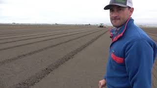 Lettuce Production in the Salinas Valley [upl. by Finah]