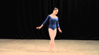 Insight Ballet Glossary  Arabesques [upl. by Sedgewick]