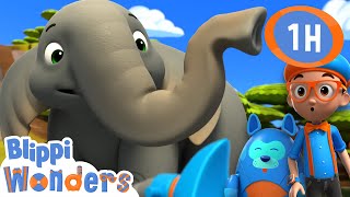 🐘 Blippi learns about Elephants🐘  Animals for Kids  Animal Cartoons  Funny Cartoons [upl. by Mcgean]