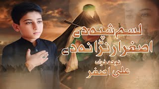 Pashto Noha 2024  Lasam Shpa De Asghara  zakirnijathussainyt8244 [upl. by Rey]