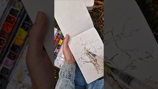 Sketching in nature 😍 pleinair lineandwash pleinairart [upl. by Gilligan]