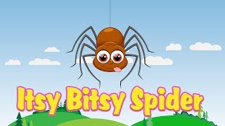 Itsy Bitsy Spider Nursery Rhyme With Lyrics  Cartoon Animation Rhymes amp Songs for Children [upl. by Pattie341]