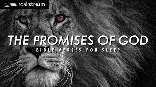 The Promises of God  Bible Verses For Sleep [upl. by Gautea]