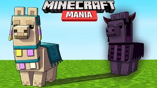 Minecraft Mania  ¡los más TRAMPOSOS [upl. by Aikym445]