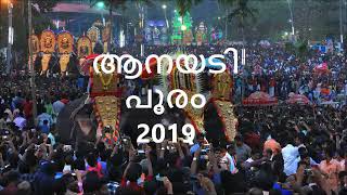 Anayadi pooram 2019 [upl. by Aytnahs]