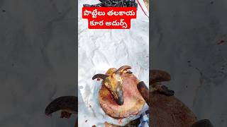 పొట్టేలు తలకాయ కూర అదుర్స్ food foodie foodlover sheep sheepfarming meet motton recipe farm [upl. by Edivad25]