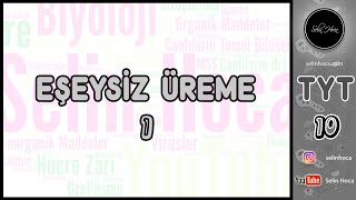 5 Eşeysiz Üreme 1 [upl. by Suivatna]