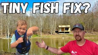 Will This Fix Our Pond  Moultrie Directional Fish Feeder [upl. by Nolram104]