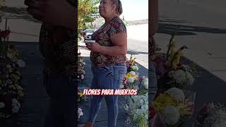 Ventas de Flores para muertos 🇲🇽 shorts viral videoshorts shortsvideo flores floreria [upl. by Arem146]