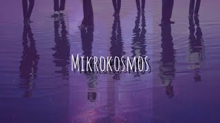 BTS  소우주 Mikrokosmos  Karaoke With Backing Vocals [upl. by Aita]