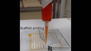 3D Bioprinting of Alginate based hydrogel [upl. by Bergwall]