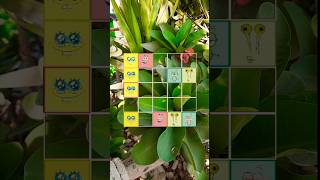 Can you connect this square Puzzle game [upl. by Nellir]