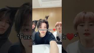 Straykids em fazendo a coreografia vs fazendo tiktok [upl. by Siradal32]