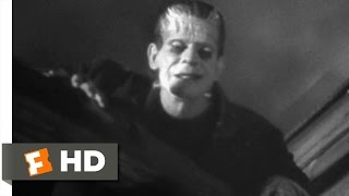 The Windmill Fire Final Scene  Frankenstein 1931 [upl. by Eimaral]