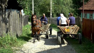 Romania Village Life in Transylvania [upl. by Anaile691]