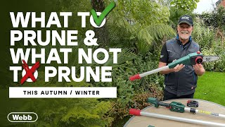 The Ultimate AutumnWinter Pruning Guide  Gardening Advice from Adam Woolcott [upl. by Erdei924]