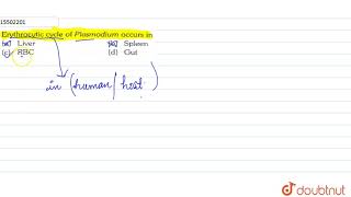 Erythrocytic cycle of Plasmodium ocuurs in [upl. by Aletsirc]