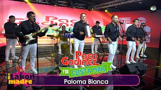 Paco Godinez y su Costa Mar  Paloma Blanca Video Oficial [upl. by Eicnarf]