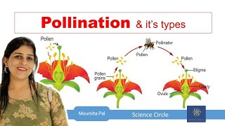 Self amp Cross Pollination  Sexual Reproduction in Plants II Agents of Pollination II [upl. by Ellerahc932]