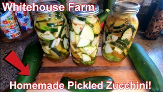 Homemade Pickled Zucchini DIY [upl. by Ardet968]