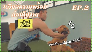 VLOG  เตรียมความพร้อมให้ซาโบ้ก่อนไปงานเปิดโกดัง 3  EP2 [upl. by Joly623]