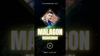 Presentación Malagon Falconbridge [upl. by Torrlow211]