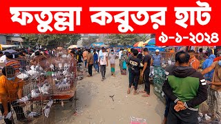 ফতুল্লা কবুতর হাট ৯১২০২৪  kobutor hat 2024  pigeon market in bangladesh  fotulla kobutor hat [upl. by Valery]