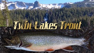 Episode 12 Twin Lakes Mammoth Fishing [upl. by Nogem]