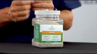 The Best Paspalum Grass Seed [upl. by Anole]