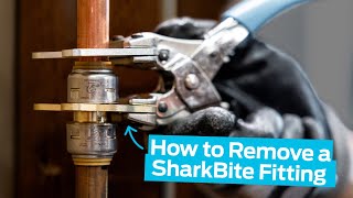 How to Remove a SharkBite PushToConnect Fitting [upl. by Andersen670]