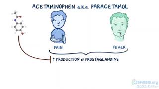 Acetaminophen Paracetamol Osmosis [upl. by Onid]