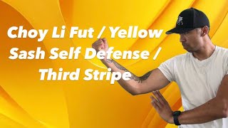 Choy Li Fut  Yellow Sash Self Defense  Third Stripe [upl. by Dorcia]