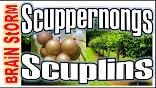 Tasty Southern Treat From the Scuppernong or Scuplin Vine [upl. by Abert]