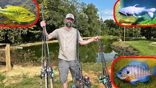 Best way to Bank Fish for Bass Bluegill and Catfish [upl. by Derrik]