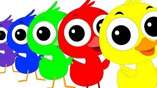 Colorful Duck Song  Duck Song  Kids Tv Color Video  Learn Colors With Ducks  Kids Tv Rhymes [upl. by Ayirp578]