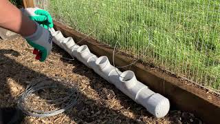 Homemade chicken drinkerwaterer with PVC pipes  our first version [upl. by Alguire]