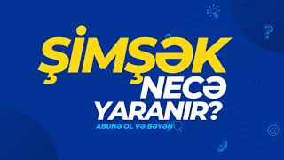 Şimşək necə yaranır  Rəsul Əsgəroğlu [upl. by Adnoryt]