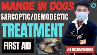 Mange Treatment In Dogs  Demodectic Mange Sarcoptic Mange  First Aid इलाज  Serious Problem 😭 [upl. by Aliuqat]