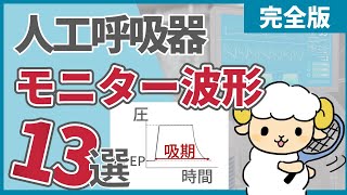 人工呼吸器のモニター波形13選【全部知っていたら人工呼吸器マスター】 [upl. by Lucky]