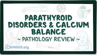 Parathyroid disorders and calcium balance Pathology Review [upl. by Zubkoff]