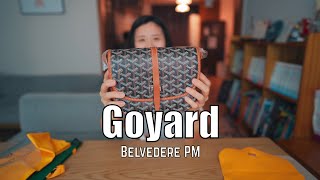 Present Reaction  Goyard Belvedere PM  sony A7C 24mm f14 고야드 크로스백 shorts [upl. by Dnaltiac]