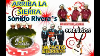 arriba la sierra mix armadillos los benitez impacto sierreño corridos [upl. by Eetse]